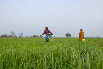 People on field against clear sky