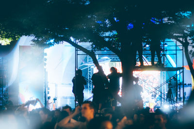 People enjoying in concert at night