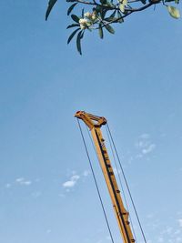 Low angle view of tree against blue sky