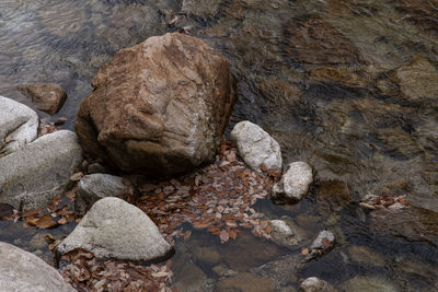 High angle view of rocks on beach