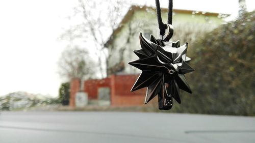 Close-up of flying hanging on tree against sky