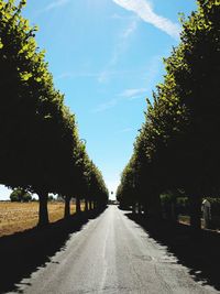 Empty road amidst trees against sky during sunny day