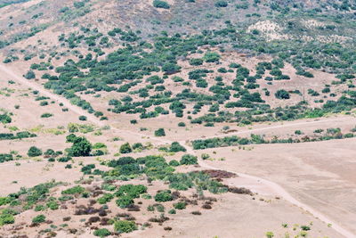 High angle view of agricultural field