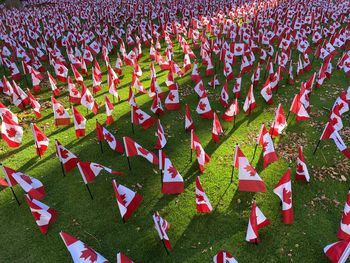 Manulife displays over 12,000 canadian flags for remembrance day