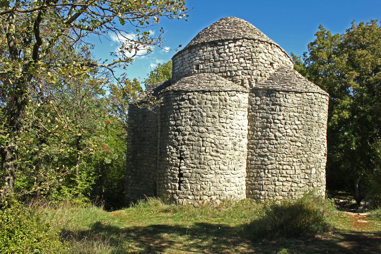 STONE WALL AGAINST TREES