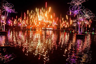 Firework display at night