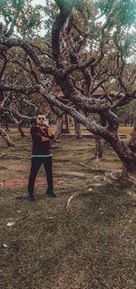 Young man standing on tree trunk