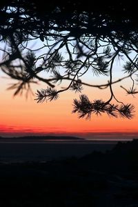 Scenic view of sea against orange sky