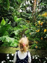 Rear view of woman standing by plants