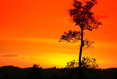 Silhouette tree on field against romantic sky at sunset