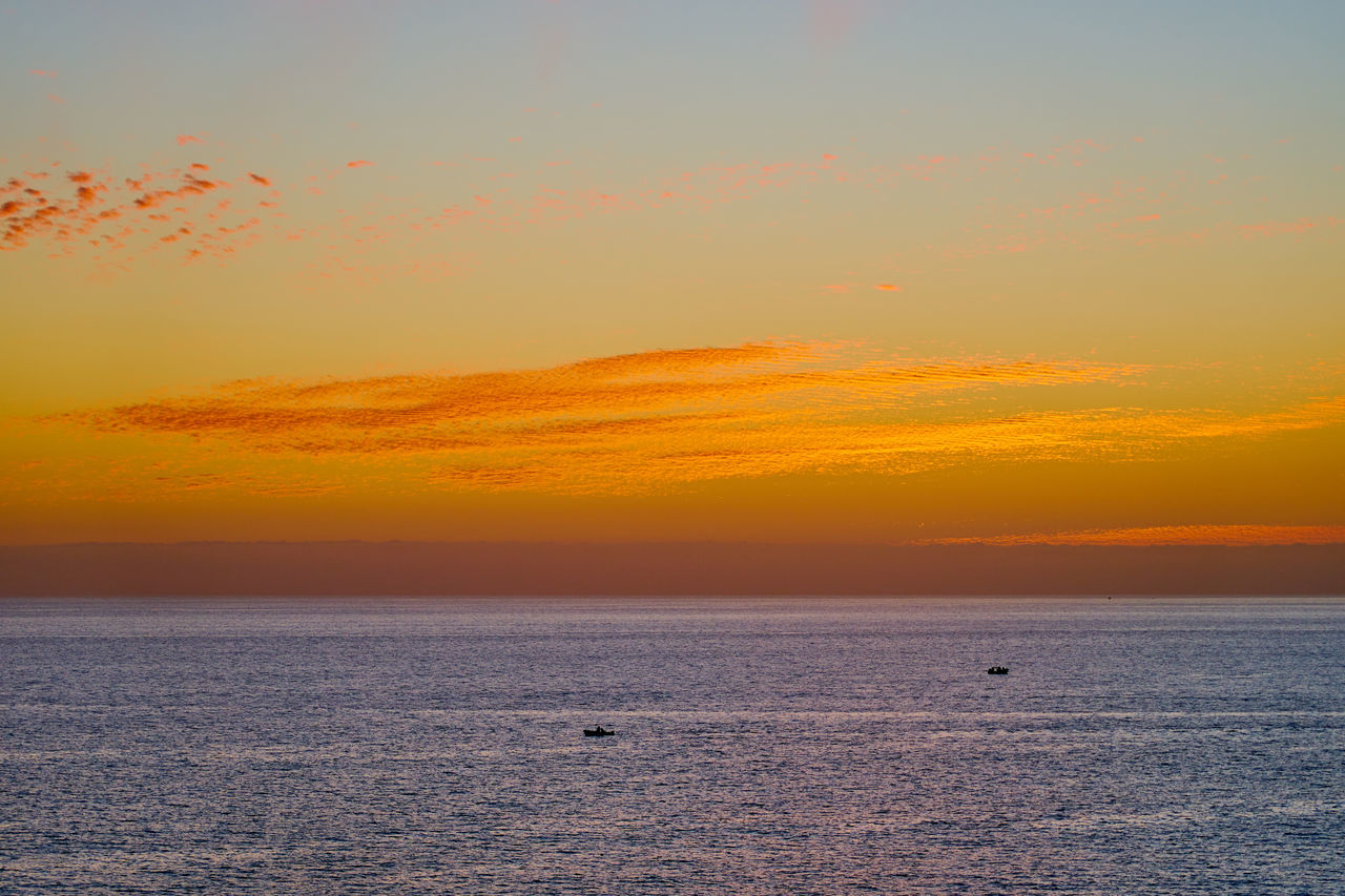 sky, sunset, sea, horizon, water, beauty in nature, scenics - nature, tranquility, nature, orange color, ocean, tranquil scene, horizon over water, animal, dawn, afterglow, animal themes, shore, no people, animal wildlife, idyllic, cloud, land, environment, wildlife, dramatic sky, sun, bird, coast, seascape, outdoors, travel destinations, sunlight, landscape, travel, beach, red sky at morning, urban skyline, silhouette, non-urban scene