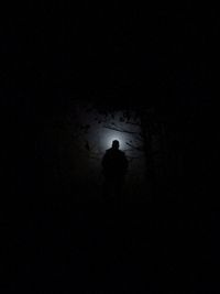 Rear view of silhouette person standing in illuminated light