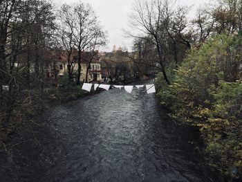 Footbridge over river in forest
