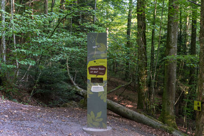 Information sign on tree trunk in forest