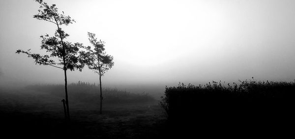 Trees on landscape against sky during foggy weather