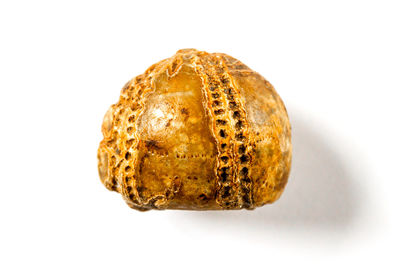 Close-up of bread against white background