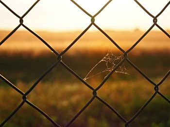 Chainlink fence against landscape during sunset