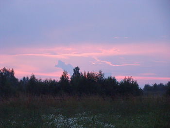 Trees on field against sky during sunset