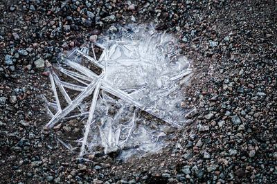 High angle view of frozen water on rock