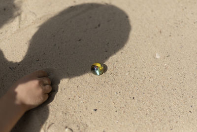Close-up of hand on sand