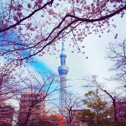 Low angle view of tower