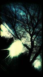 Low angle view of bare trees against sky