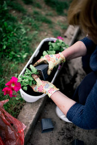 Gardener plants colorful herbs in garden soil