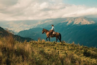 Man riding horse on field