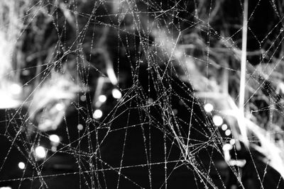 Close-up of spider web in night
