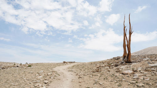 Scenic view of desert against sky