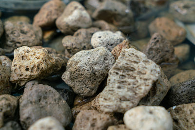 Close-up of stones on rock