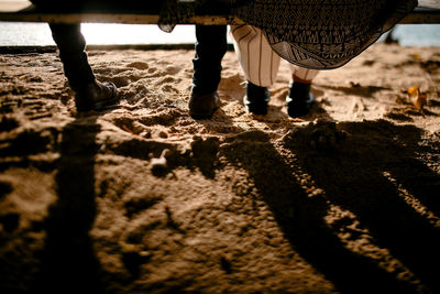 Low section of people standing on beach