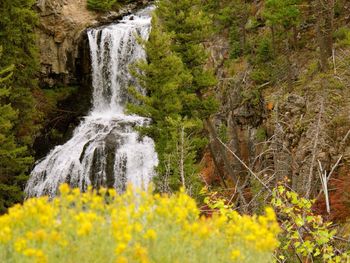 Waterfall in forest