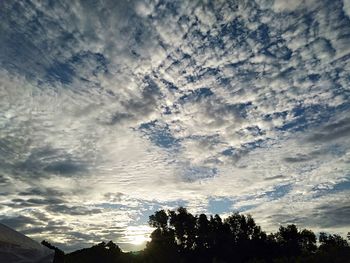 Low angle view of silhouette trees against sky