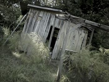 Wooden structure in a park