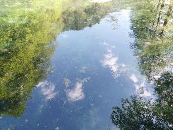 Reflection of trees in lake against sky