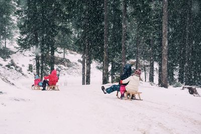 People tobogganing on snow covered field against trees