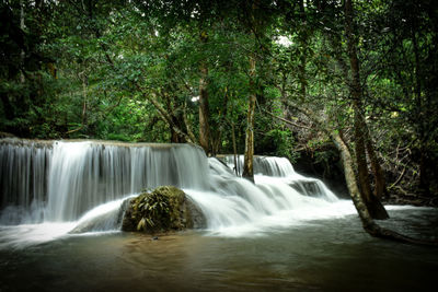 Scenic view of waterfall in forest