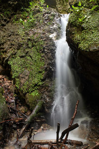 Scenic view of waterfall in forest