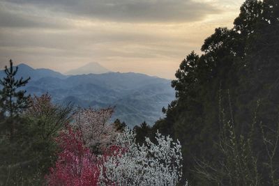 Scenic view of mountains against cloudy sky