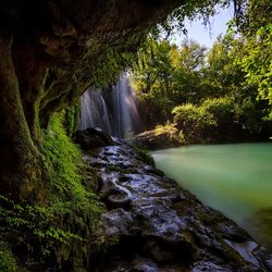 Scenic view of waterfall in forest