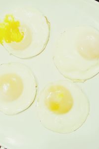 Directly above shot of egg in plate