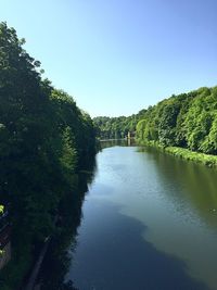 Scenic view of river in forest against clear blue sky