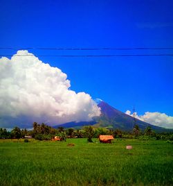 Scenic view of agricultural field against blue sky