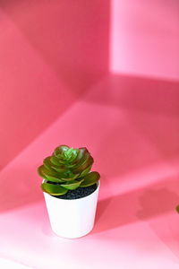 Artificial green flower with leaves in a pot on pink background