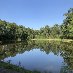 Reflection of trees in lake against clear blue sky