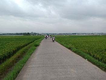 Road amidst agricultural field against sky