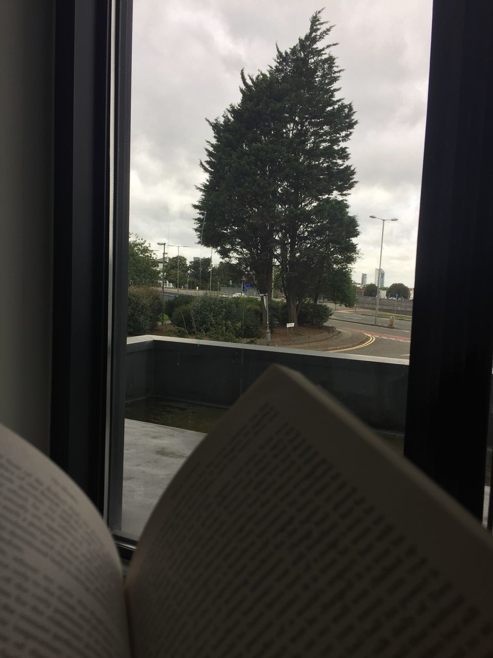 tree, window, transparent, glass - material, plant, sky, indoors, vehicle interior, mode of transportation, nature, cloud - sky, transportation, no people, car, land vehicle, empty, seat, day, motor vehicle, glass