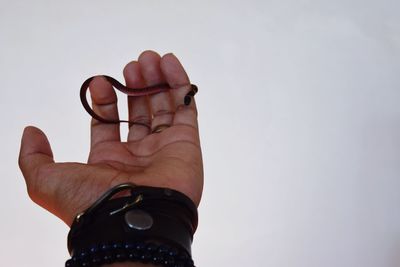 Cropped hand wearing bracelets while holding snake against white background