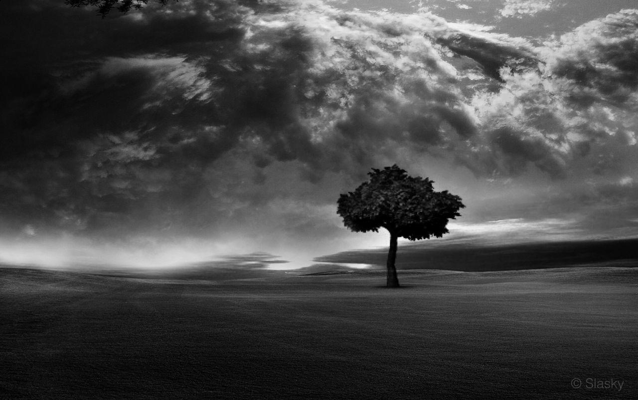 sky, tree, tranquility, cloud - sky, tranquil scene, cloudy, scenics, nature, beauty in nature, landscape, weather, overcast, silhouette, cloud, dusk, growth, field, idyllic, non-urban scene, storm cloud